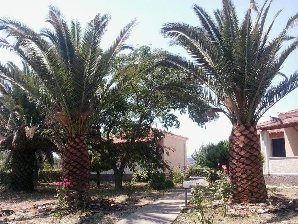 Oasis Studios Skala Kallonis Extérieur photo