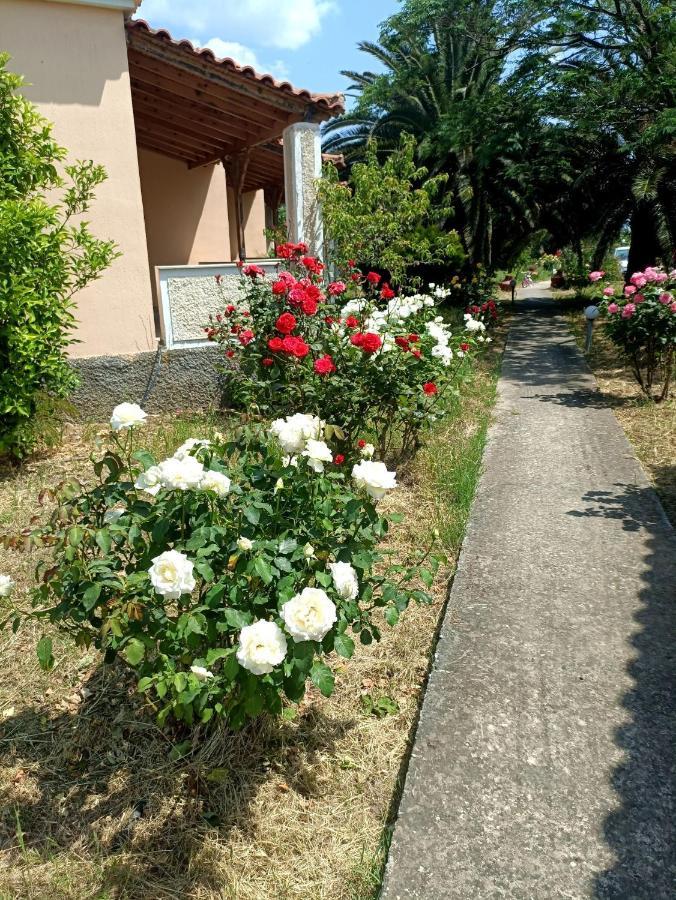 Oasis Studios Skala Kallonis Extérieur photo